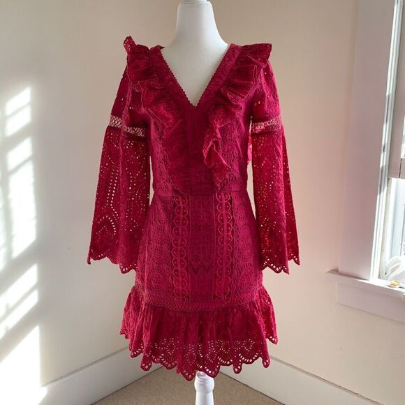 Anthropologie TRYB Eyelet Ruffle Mini Dress Size M Pink Embroidered Long Sleeve - Picture 1 of 10